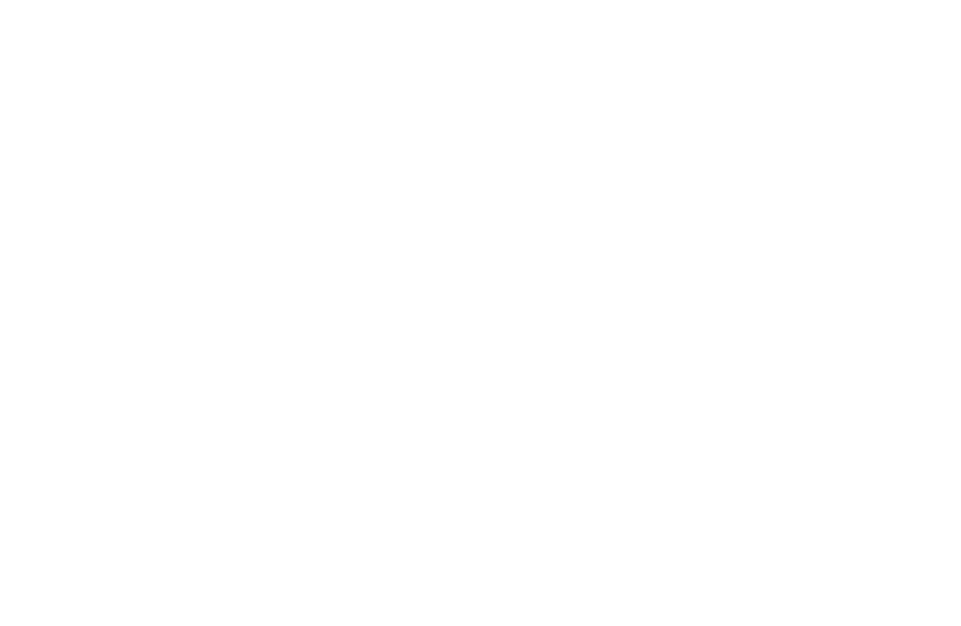 SisselZoneterapi Logo